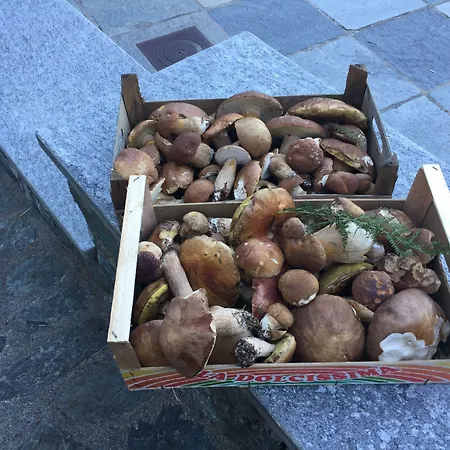 Osteria Gaute La Nata *