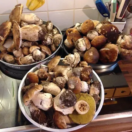 Osteria Gaute La Nata * Rubiana